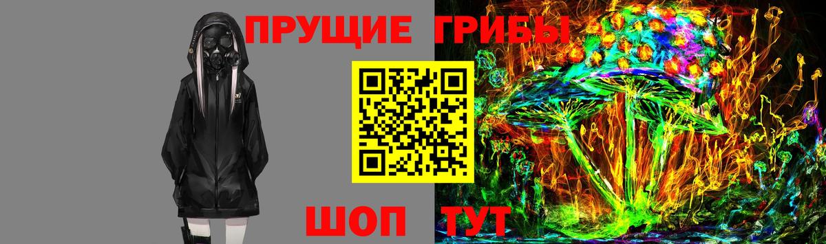 Псилоцибиновые грибы прущие грибы  Вход с VPN  Элиста  Псилоцибиновые грибы ЛСД 