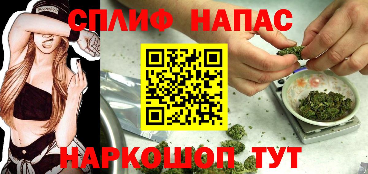 Элиста  Шишки марихуана индика  Каннабис Ganja  Вход с VPN  Канабис сатива 